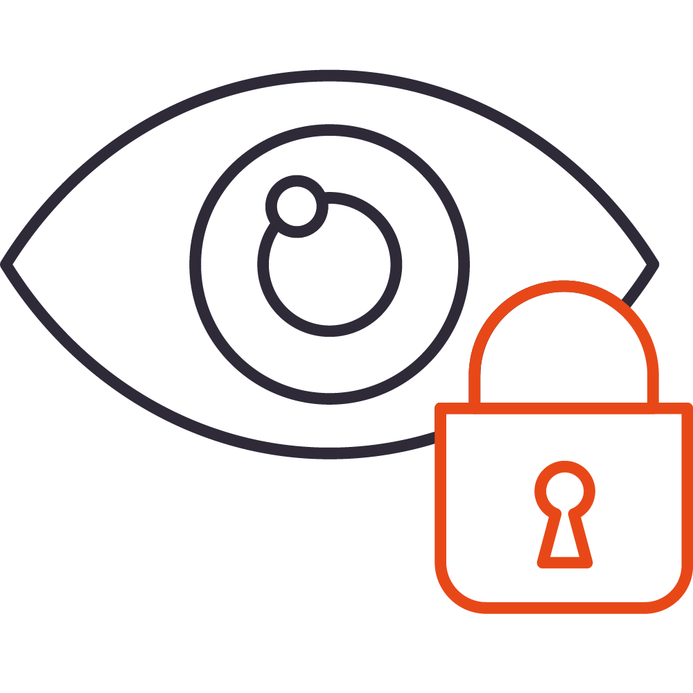  <span class="lte-header lte-h4"> Safeguard Implementation </span> 