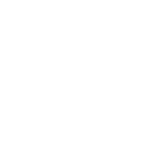 Safer Dealer